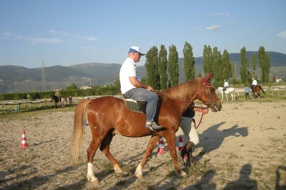 Ospite a cavallo