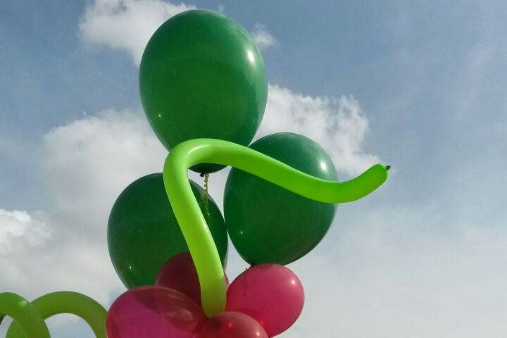 Balloon Siena Allestimenti e Animazione