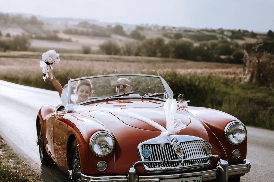 Daniel & Elena