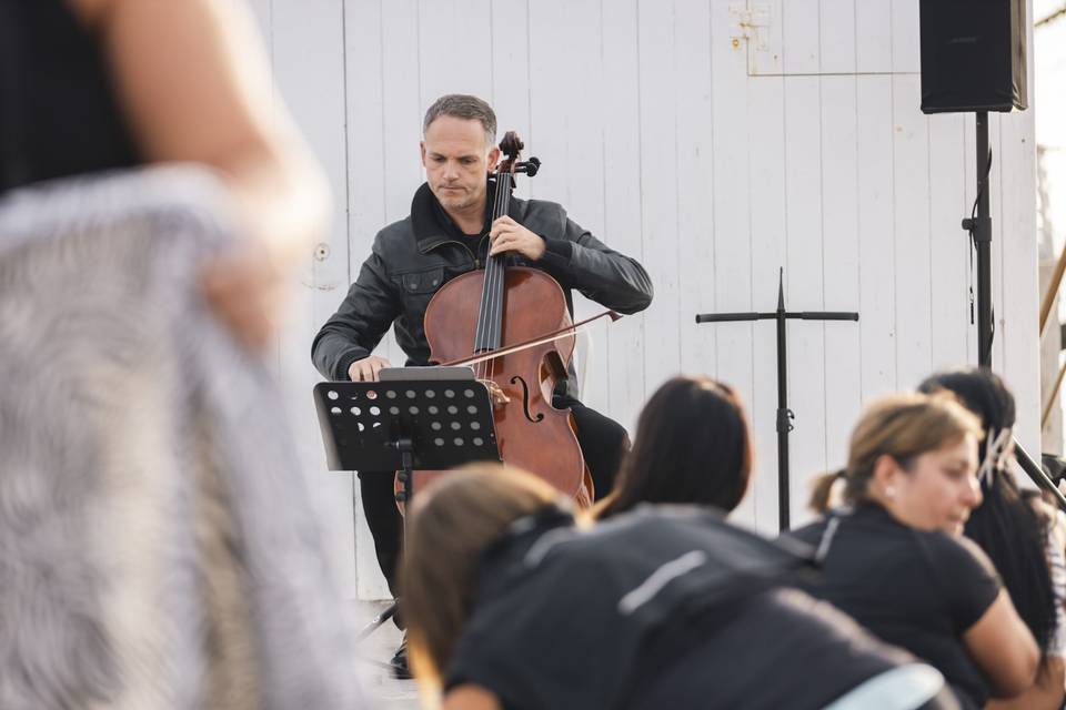 Wellness cello