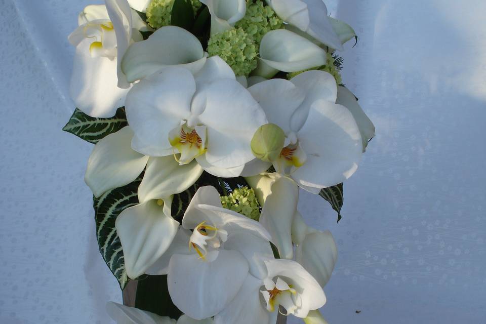 Bouquet con phalenopsis