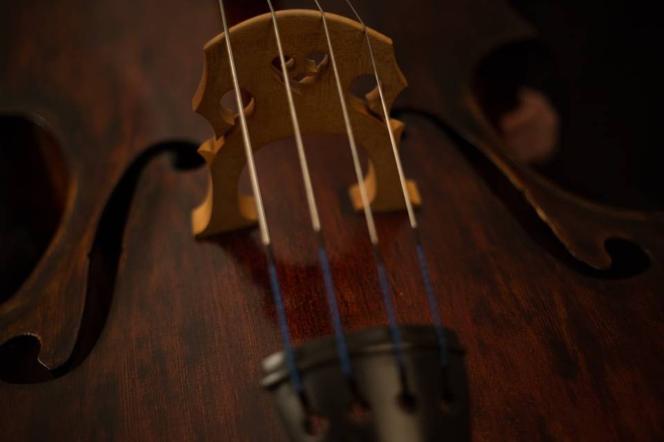 Cello