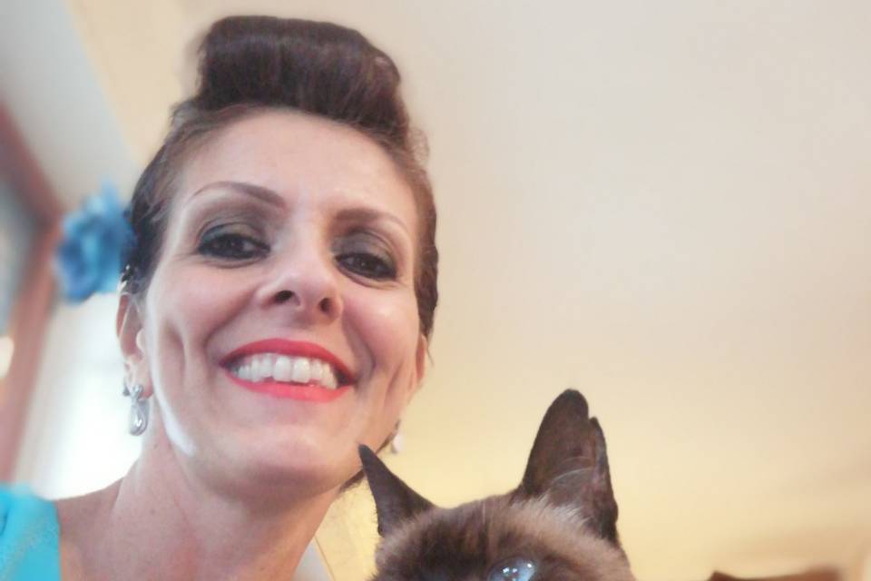 Gatto