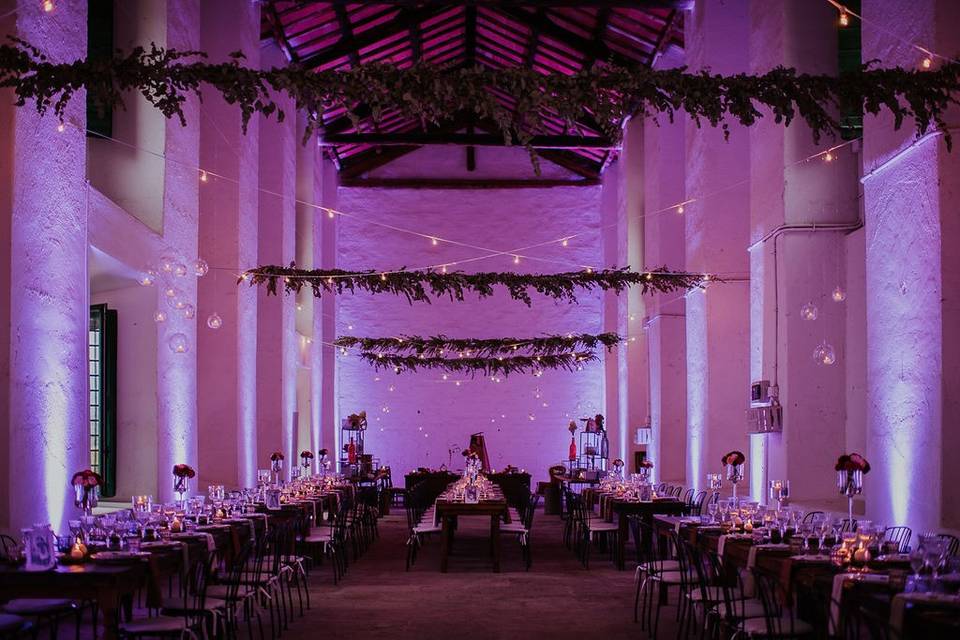 Matrimonio da favola: Alice