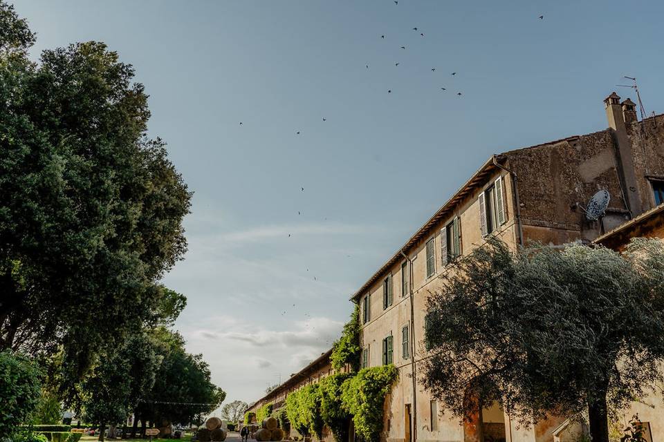 Tenuta Pantano Borghese