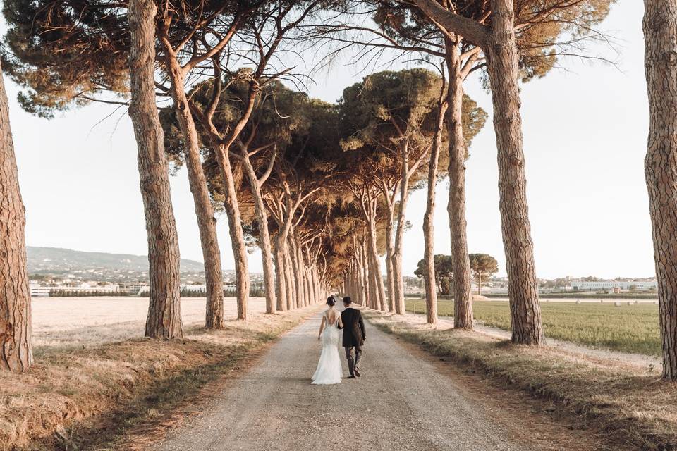 Tenuta Pantano Borghese