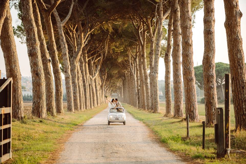 Il viale in 500