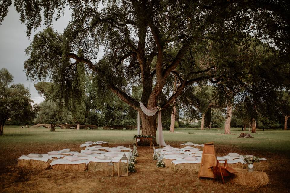 Tenuta Pantano Borghese