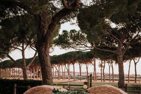 Tableau con i nostri arredi