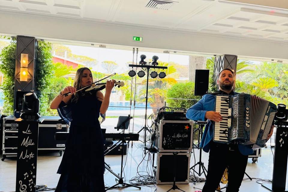 Violino e fisa
