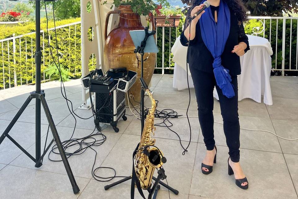 La cantante