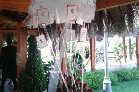 Tableau mariage  mongolfiera