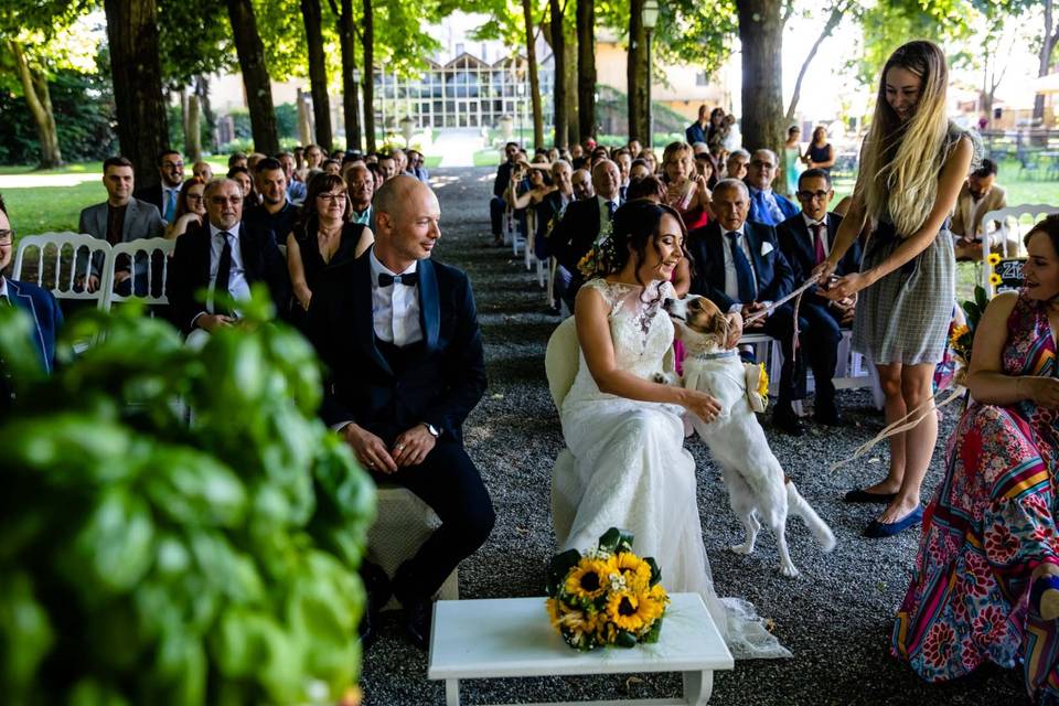 Le Mariage Parfait - Wedding Pet Sitting