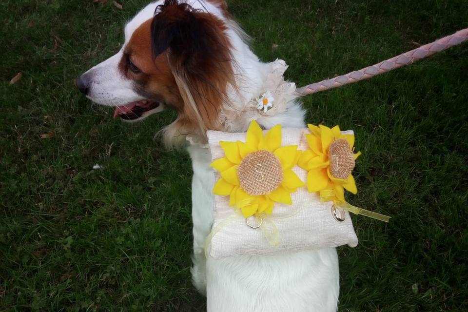 Special ring bearer