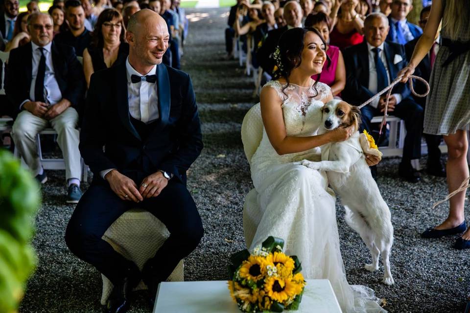 Special ring bearer