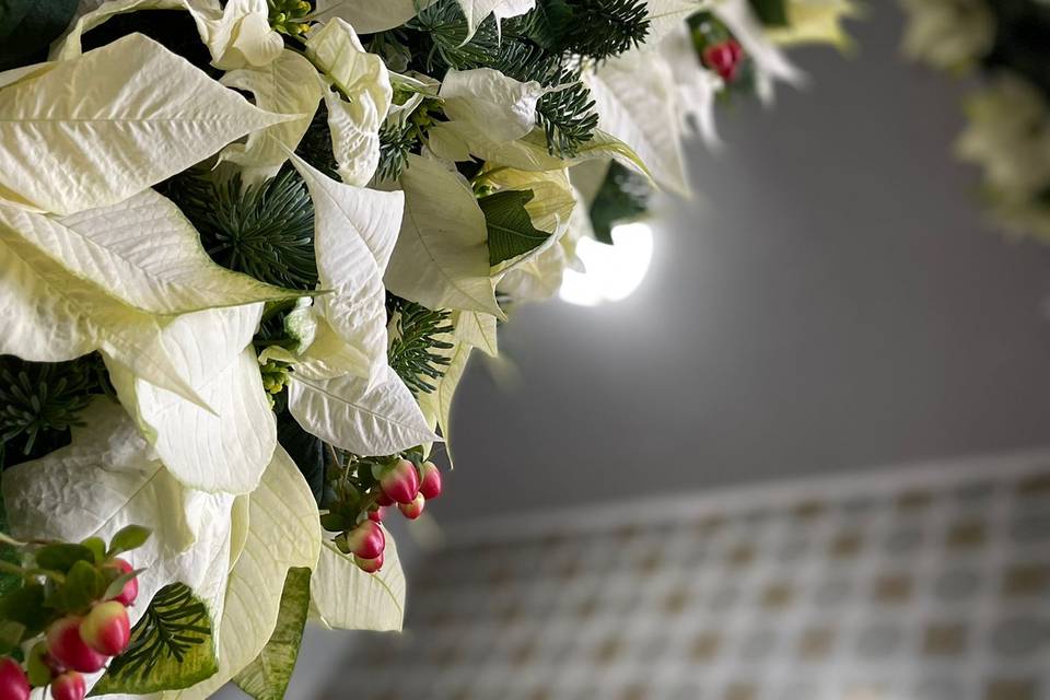 Wedding with poinsettia