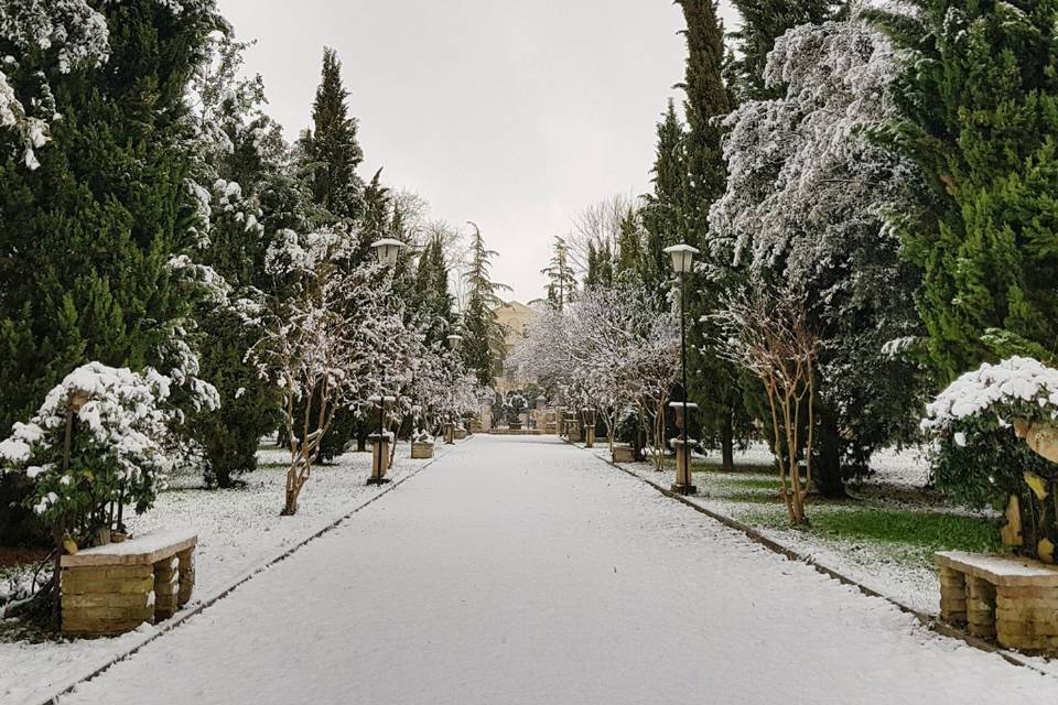 Viale sud visto dal teatro ver