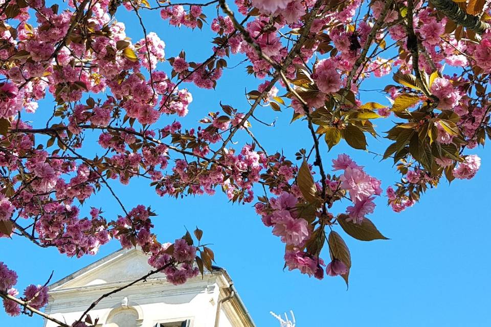 La primavera a Villa Navagero