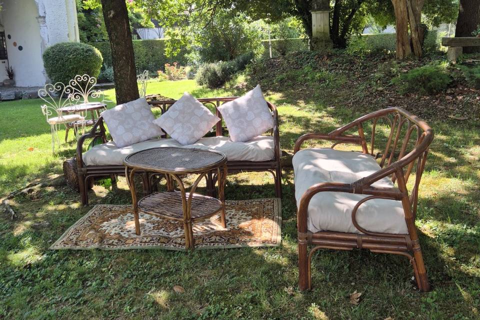 Collezione VNE