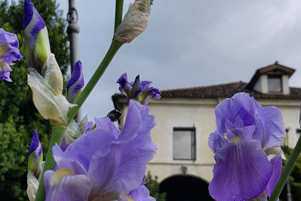 La flora