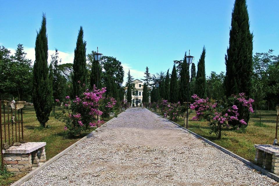 Viale teatro verde