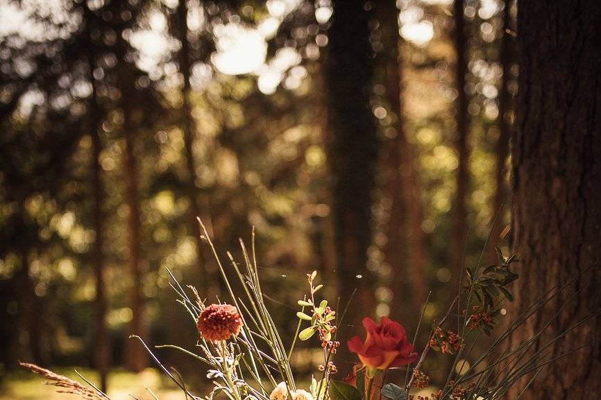 Wedding in the woods