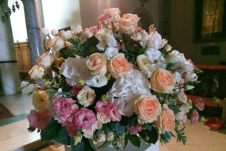 Peach avalange roses