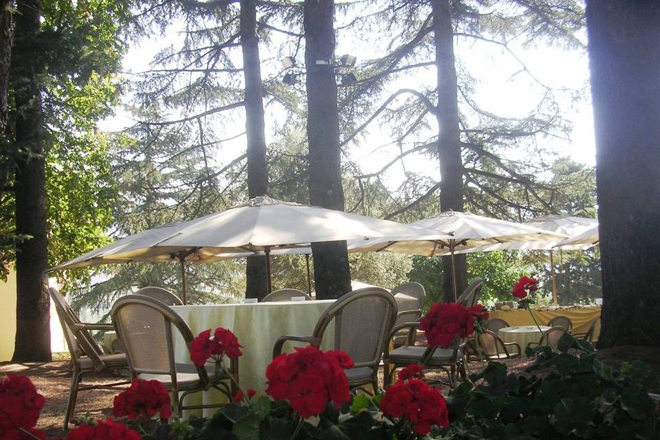 Tenuta Le Chiuse di Reopasto