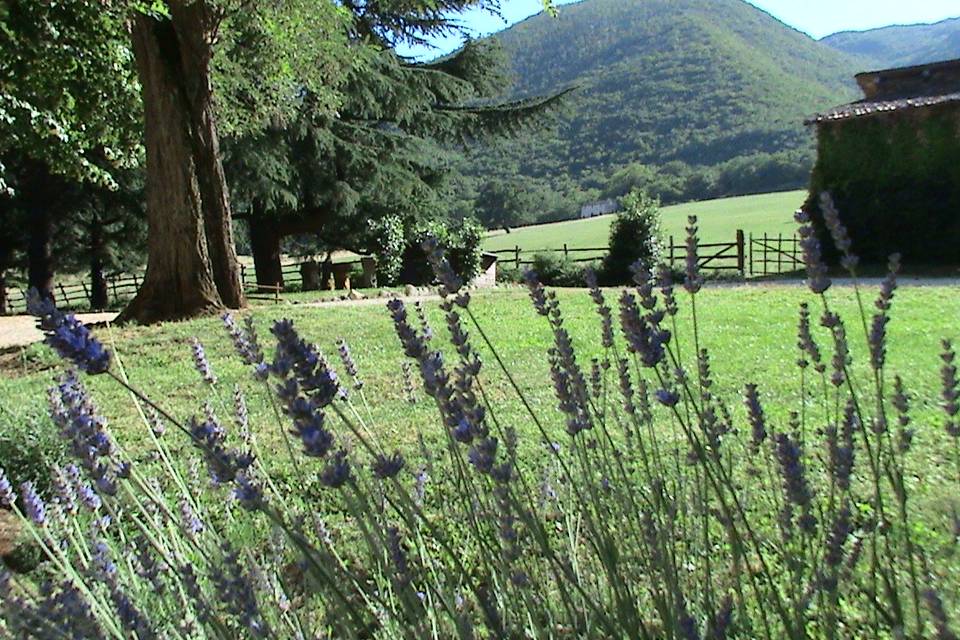 Tenuta Le Chiuse di Reopasto