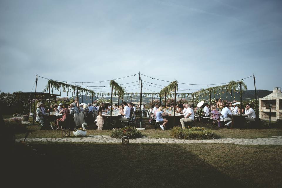 Matrimonio in vigna