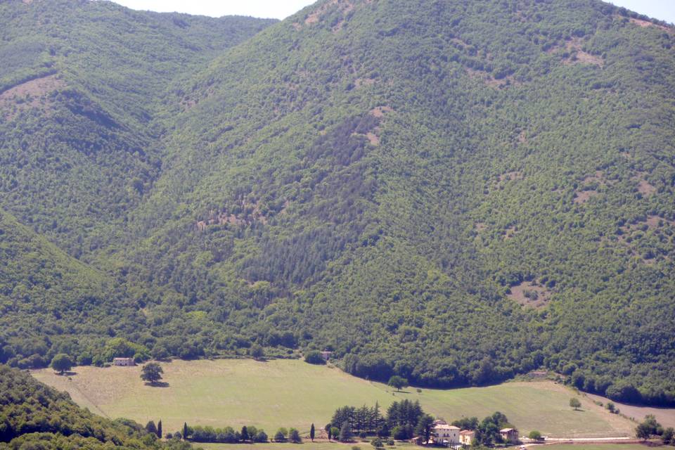 Tenuta Le Chiuse di Reopasto