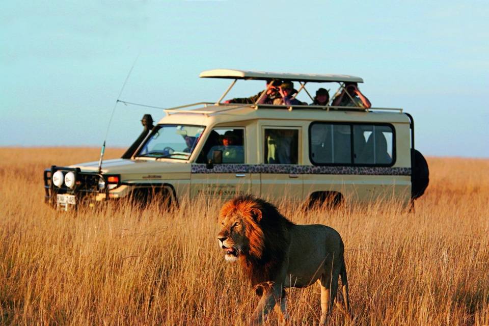 Safari in africa