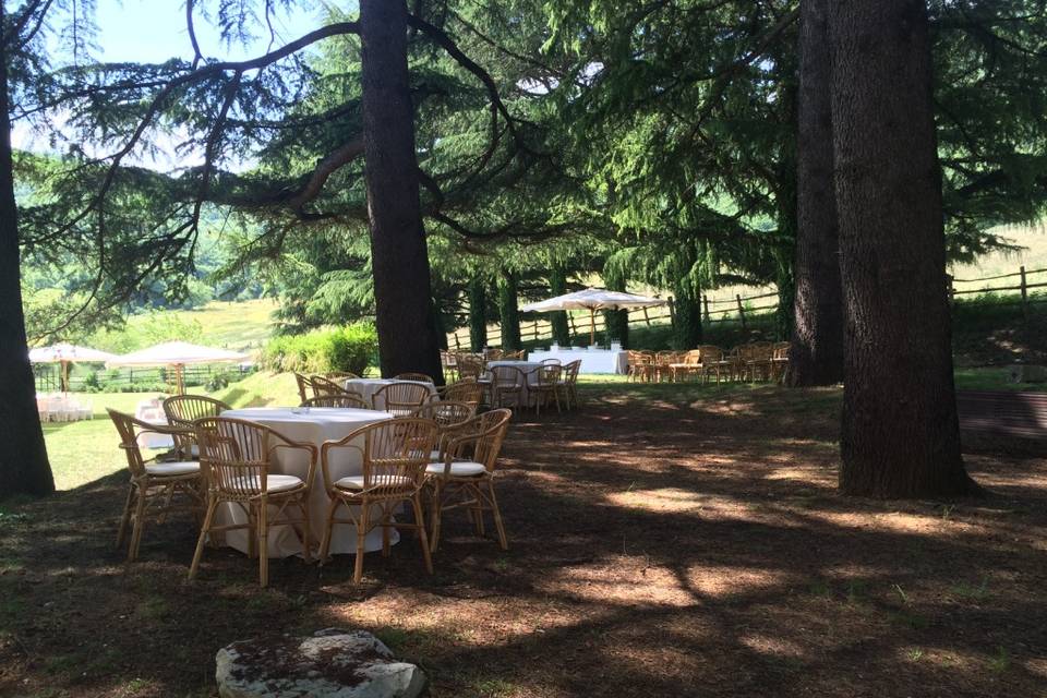 Tenuta Le Chiuse di Reopasto