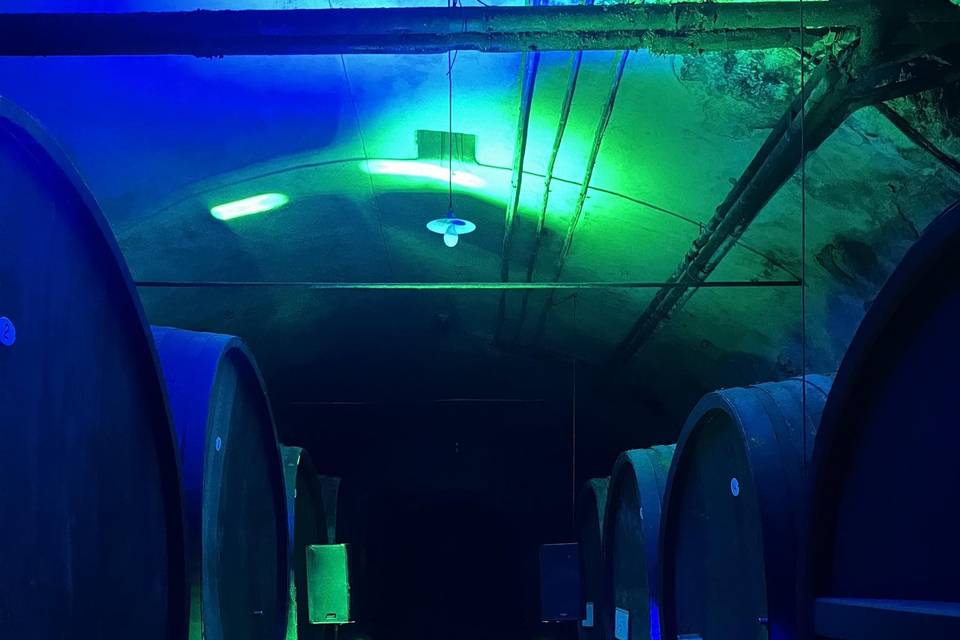 Allestimento cantina
