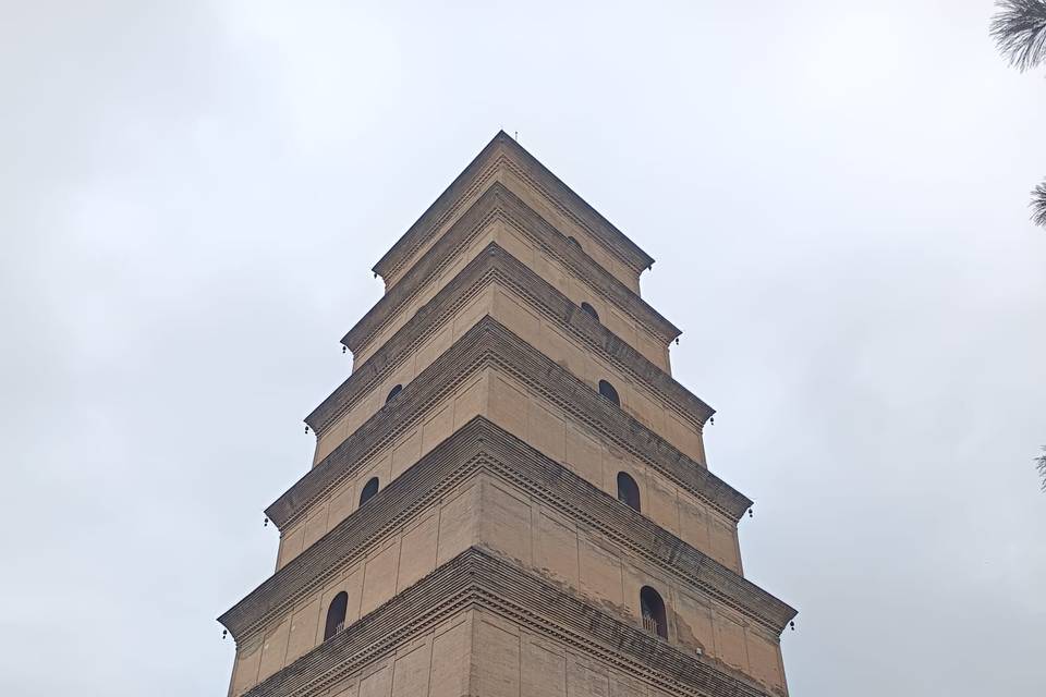 Loggiatour