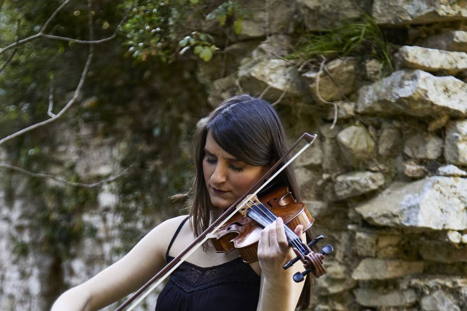 Violino