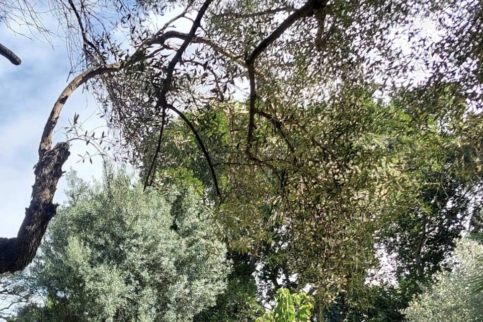 Pietra che respira storia