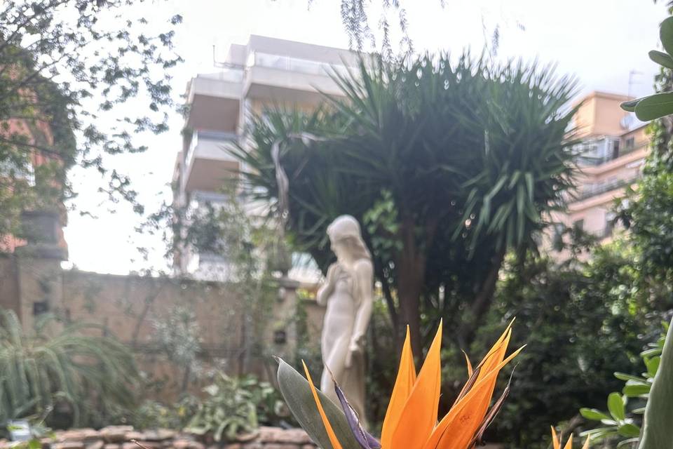 I fiori del giardino