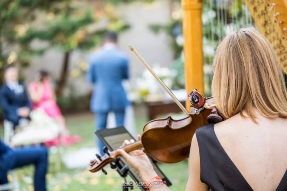 Irene violinista