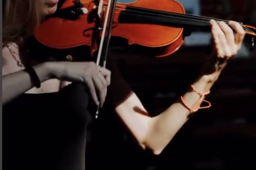 Violinista