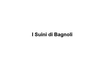 I Suini di Bagnoli