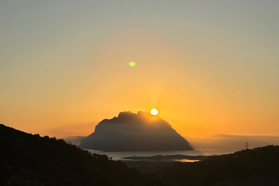 Alba
