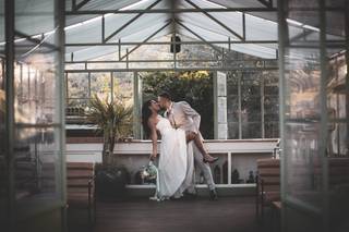 DB Wedding