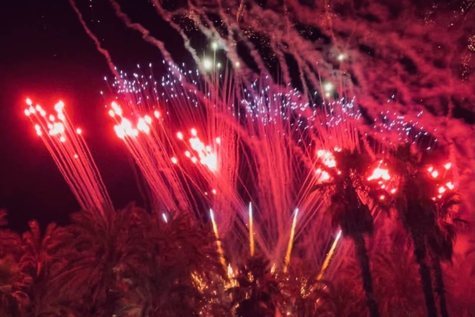 Wedding Fireworks