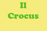 Il Crocus logo