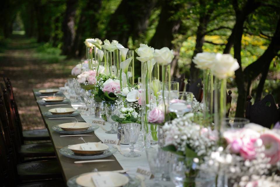 Cena nel bosco