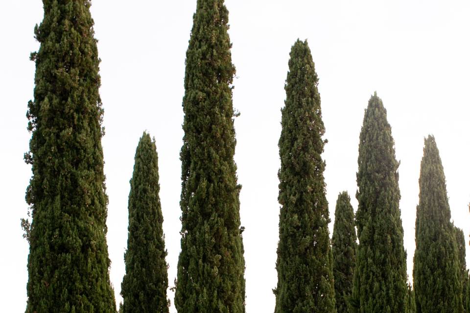 Destination wedding Tuscany
