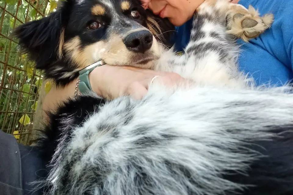 Club Cani Felici