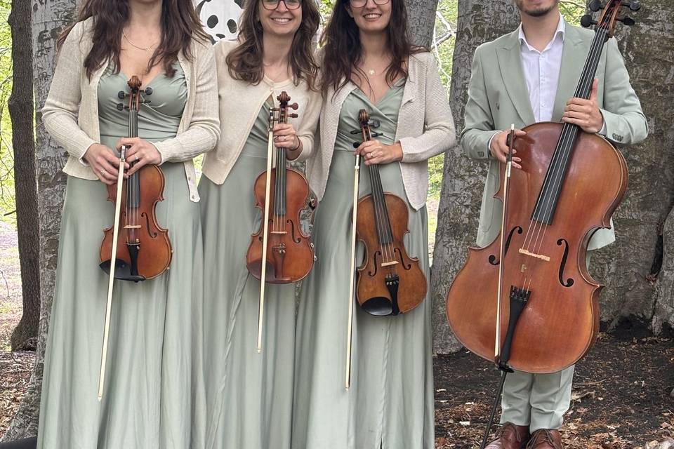 Quartetto rondò - salvia