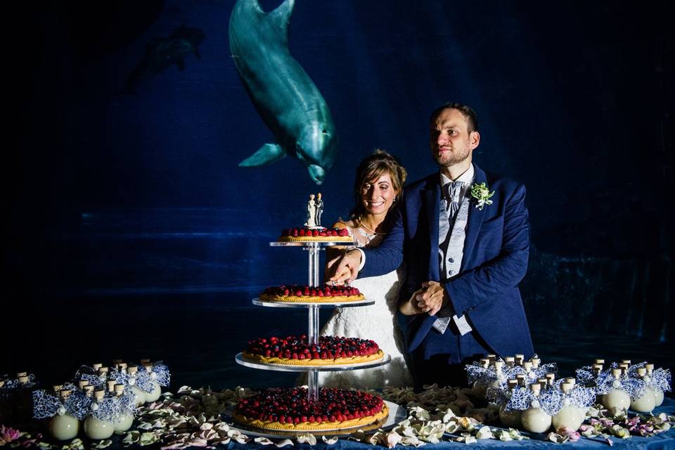 Foto-matrimonio-acquario